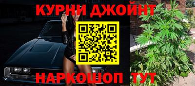 сатива Моздок