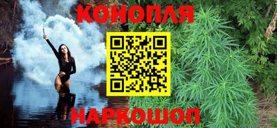 сатива Моздок